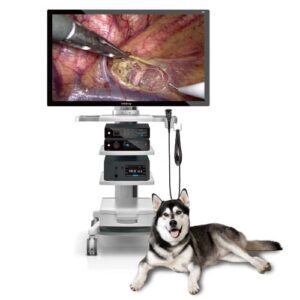 Veterinary 4K Rigid Endoscopy System Mindray Vetina CS7