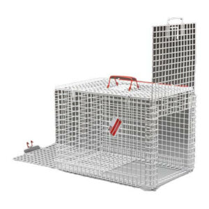 Fixation Cage For Dangerous Animals