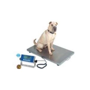 Veterinary Platform Scale 90x60 cm