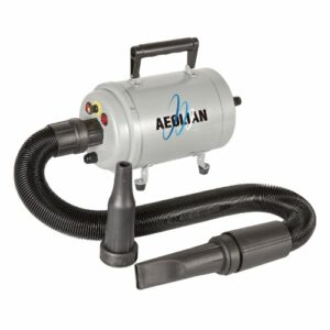 Aeolian Blaster Single Motor