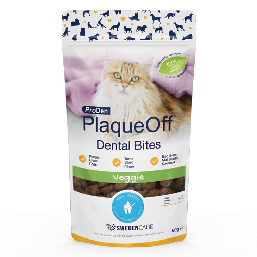 cat-dental bites-veggie cat-dental bites-veggie